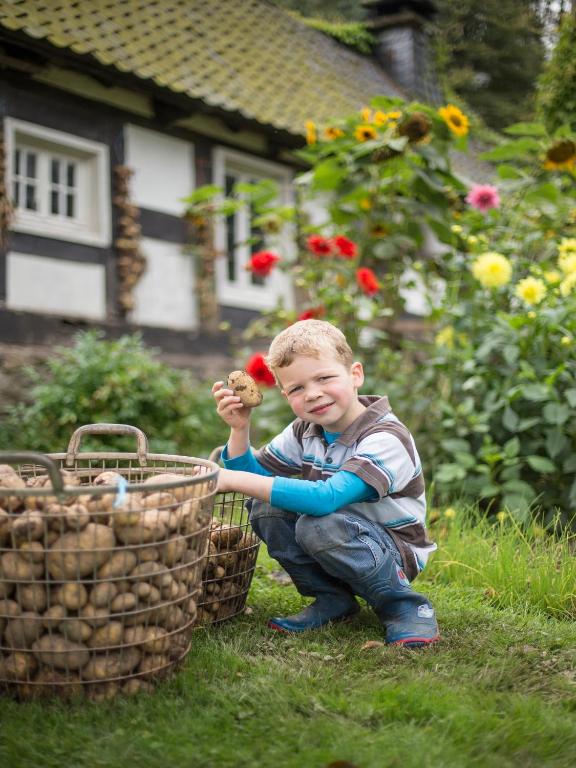 Zahrada ubytování Ferienhof Richard