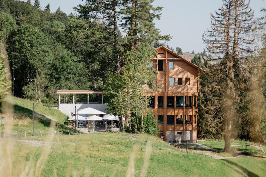 Příroda nedaleko hotelu