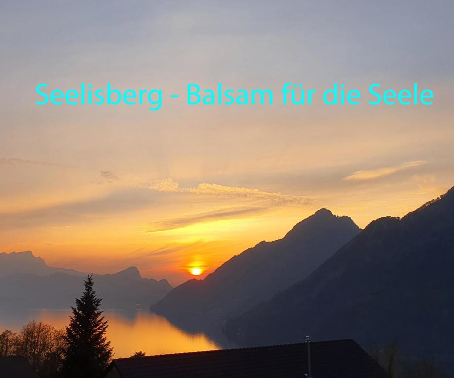 ein Sonnenuntergang mit den Worten seelzerbebergelb für die Nadel in der Unterkunft Appartement Seelewärmerli - Balsam für Ihre Seele in Seelisberg