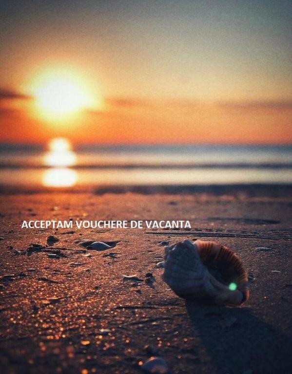 a shell on the beach with the sunset in the background at 911 Cazare Mamaia in Mamaia