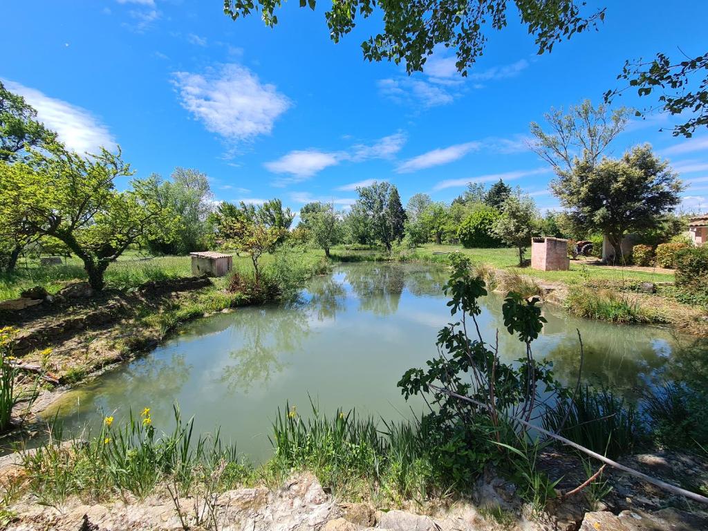 a pond in the middle of a field with trees at Les Buisses en Provence in Piolenc
