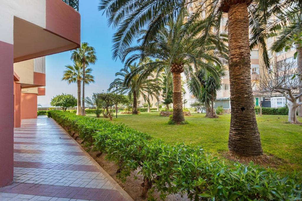 Zahrada ubytování Apartamento Torrox Playa Solset