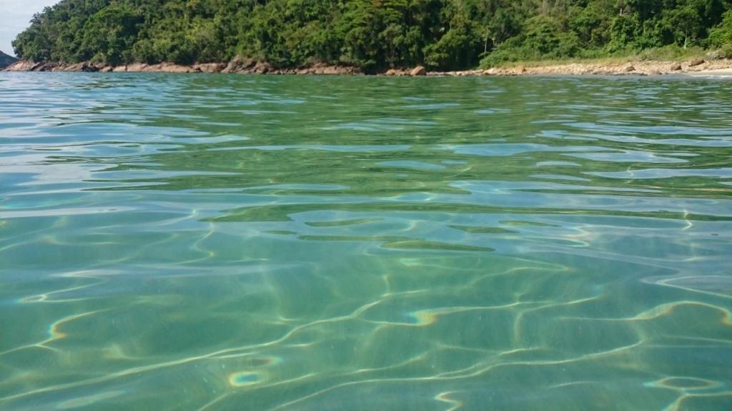 a large body of water with trees in the background at Manacá Suítes Prumirim in Ubatuba