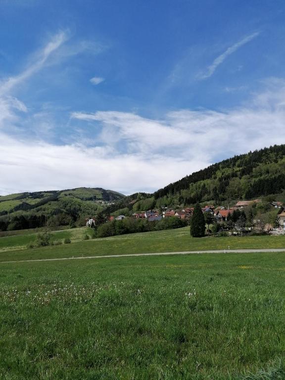 Příroda nedaleko apartmánu