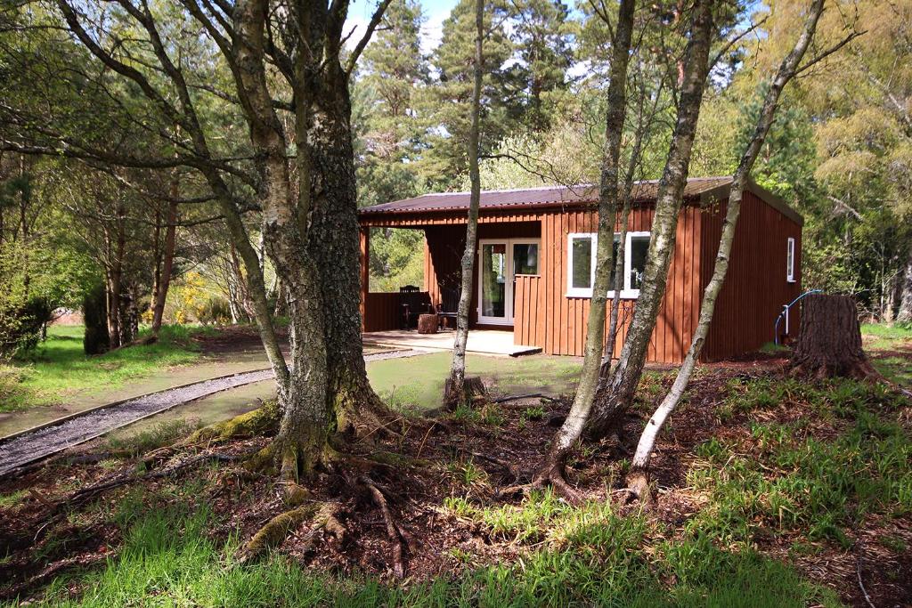 a small red cabin in the middle of trees at The Cabin at Easter Arr in Auldearn