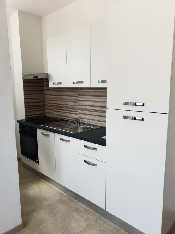 Kuchyňa alebo kuchynka v ubytovaní Apartment Radoš