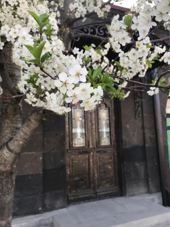 Old Gyumri Guest House / Հին Գյումրի հյուրատուն في غيومري: شجرة بالورود البيضاء أمام الباب
