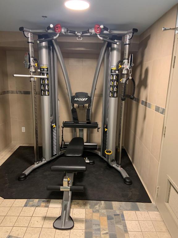 Fitness centrum a/nebo fitness zařízení v ubytování Blackcomb Lodge