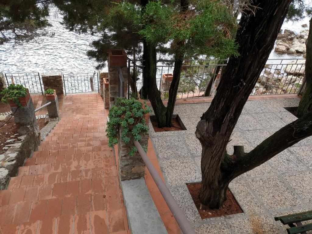 Zahrada ubytování Appartamenti Villa Lina - La Sorella