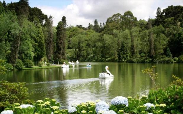 Suite Gramado I  Suite Gramado I