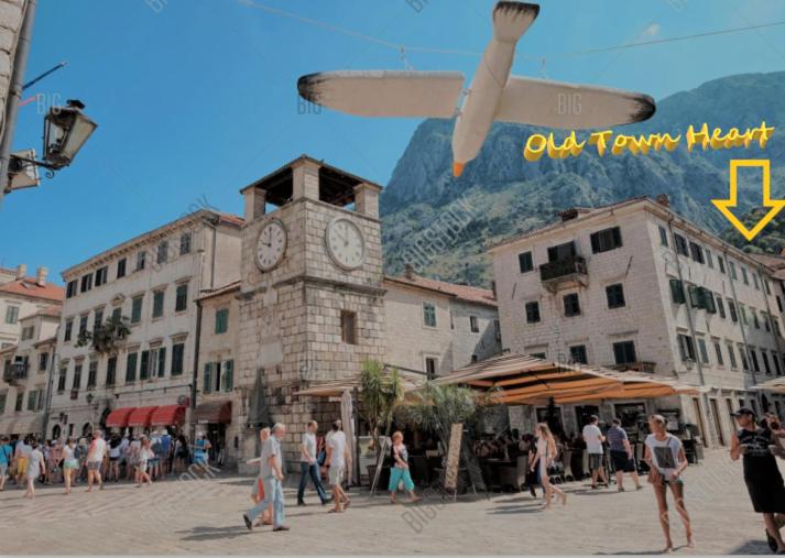 a group of people walking around a town with a clock tower at Old Town Heart in Kotor