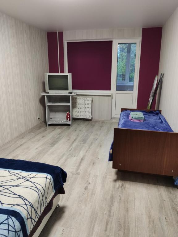 Cette chambre comprend un lit et une télévision. dans l'établissement Затишна квартира, à Tcherkassy