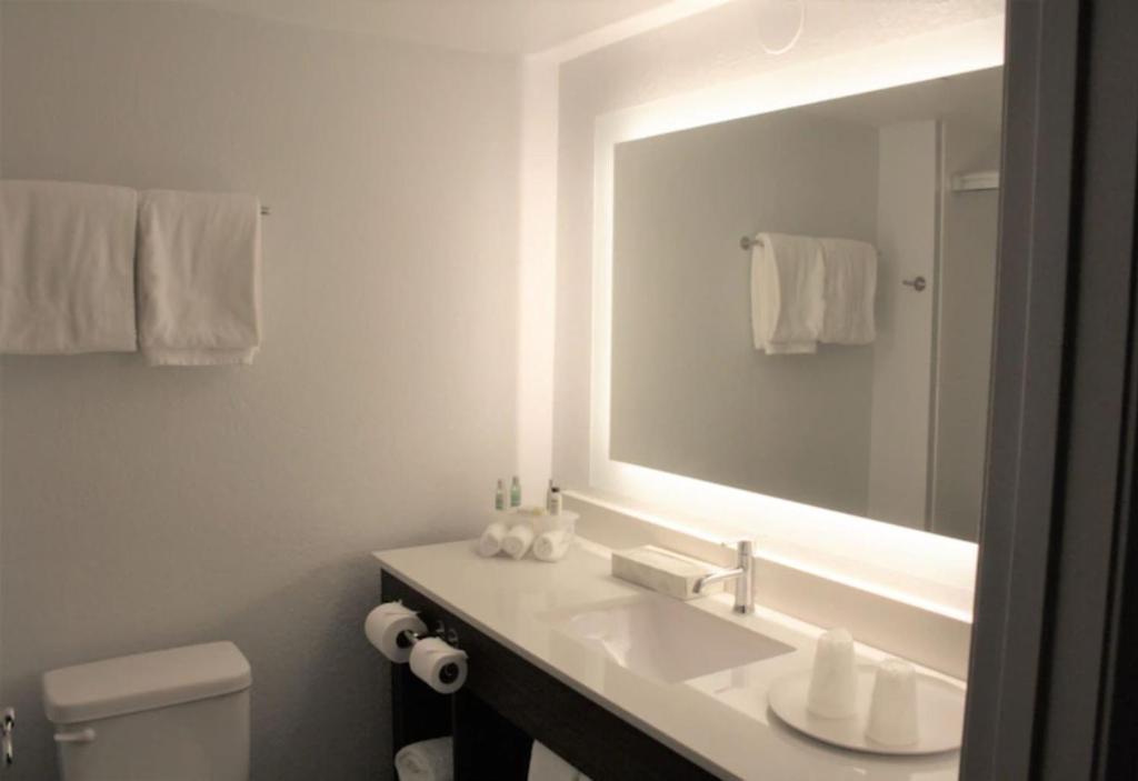 Holiday Inn Express Atlanta - Northeast I-85 - Clairmont Road, an IHG Hotel - Suite Royale