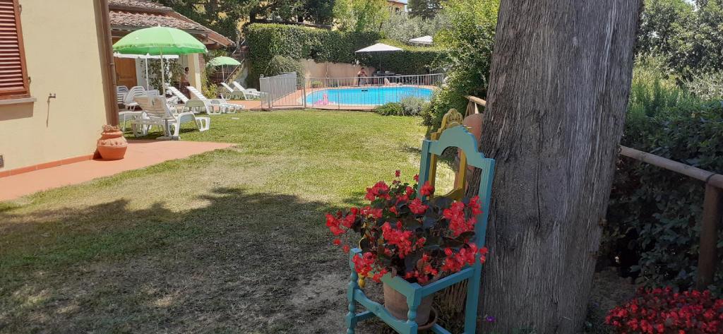 Basen w obiekcie AGRITURISMO IL PINO - APPARTAMENTO QUERCE lub w pobliżu
