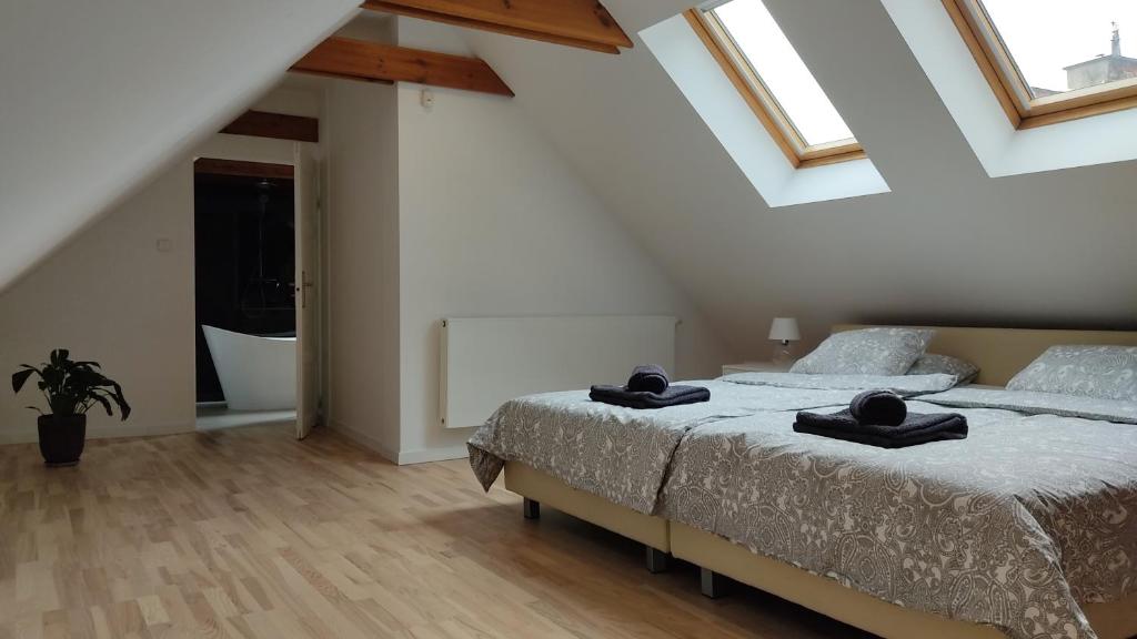 Postel nebo postele na pokoji v ubytování Apartamenty Ceglane