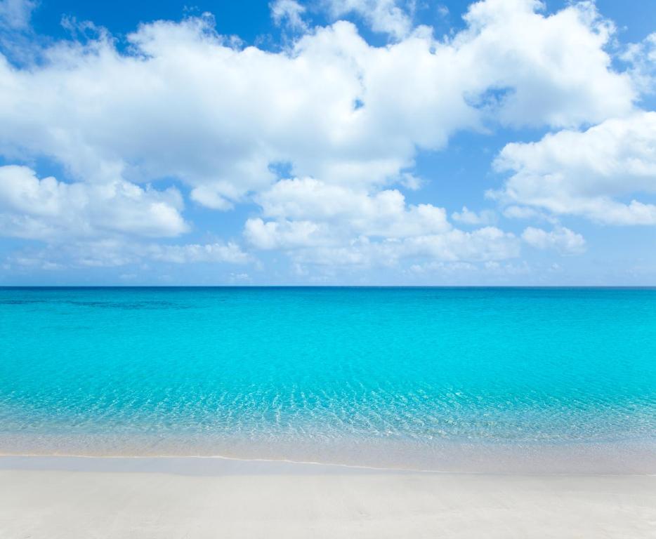 a beach with the ocean and a blue sky and clouds at SUITES JACUZZI La Stratodda OSTUNI Torre Guaceto in San Vito dei Normanni