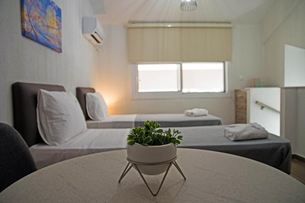 Aelia Luxury Apartments - 12