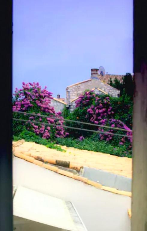 Fotografia z galérie ubytovania Old Town centar, cozy and quiet modern apartment v Dubrovníku