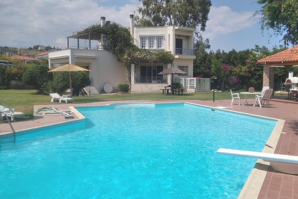 Πισίνα στο ή κοντά στο Mega pool and BBQ villa