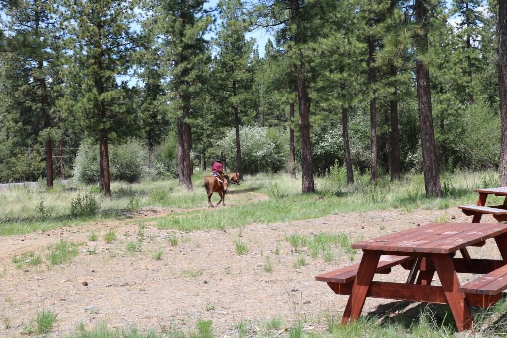 Fotografie z fotogalerie ubytování Heartline Ranch, LLC v destinaci Chiloquin