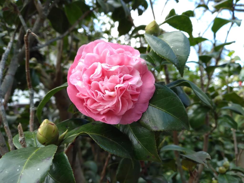  AL DI LÀ DEL SOGNO B&B