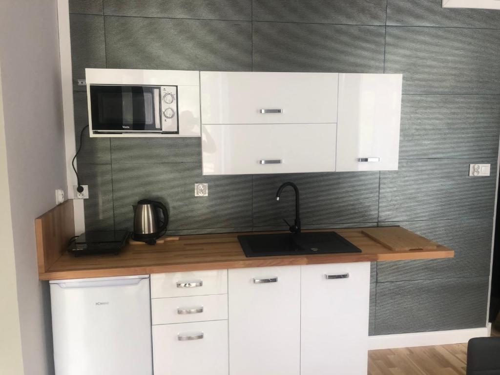 Kuchyňa alebo kuchynka v ubytovaní Leonia- Apartamenty i Pokoje Gościnne