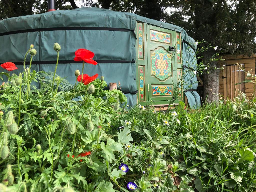 Mill Stream Yurt