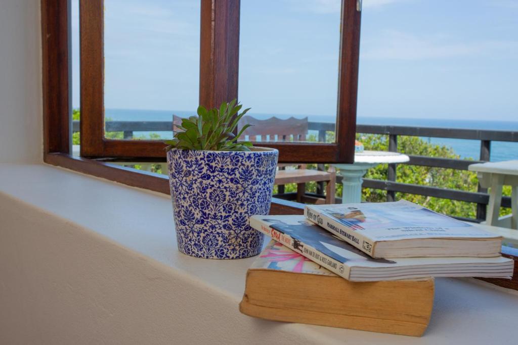 Wilderness Beach House Backpackers Lodge - Image 11