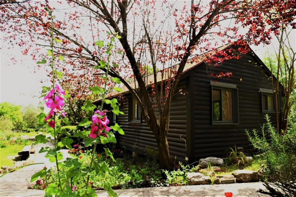 una pequeña cabaña con flores rosas delante en Numa Emek-Countryside Guesthouse in Yokneam Moshava, en Yoqne‘am