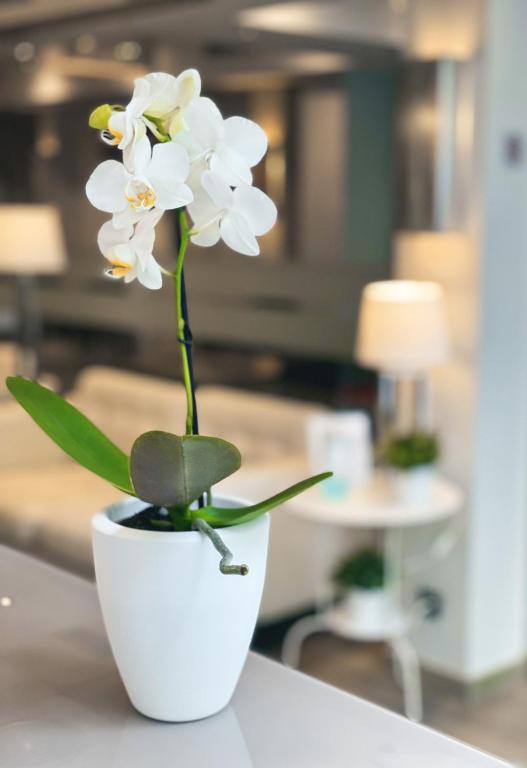 SM Hotel Sant Antoni - Resim 13