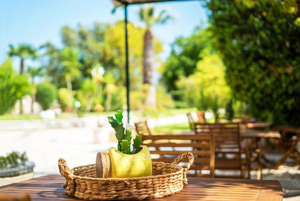 Zahrada ubytování Adani Hotel