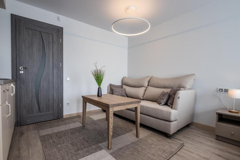 Apartamentai Druskininkų 7B - 阳台工作室