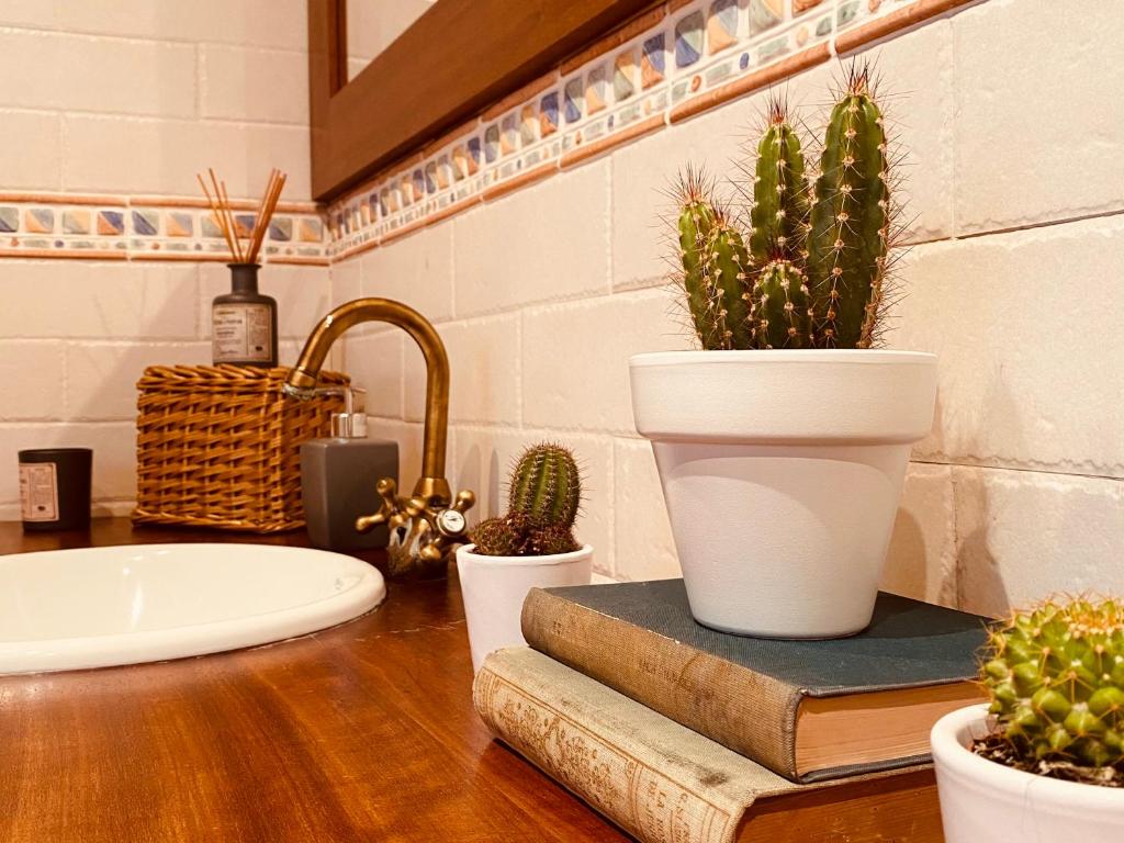 Fotografie z fotogalerie ubytování La casa del Riu Vell v destinaci Sant Jaume d'Enveja