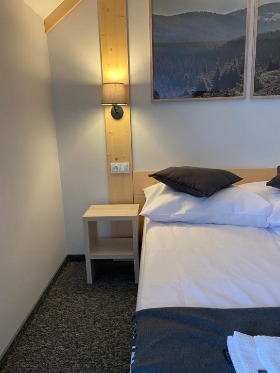 Postel nebo postele na pokoji v ubytování Karolowy pokoje&apartamenty