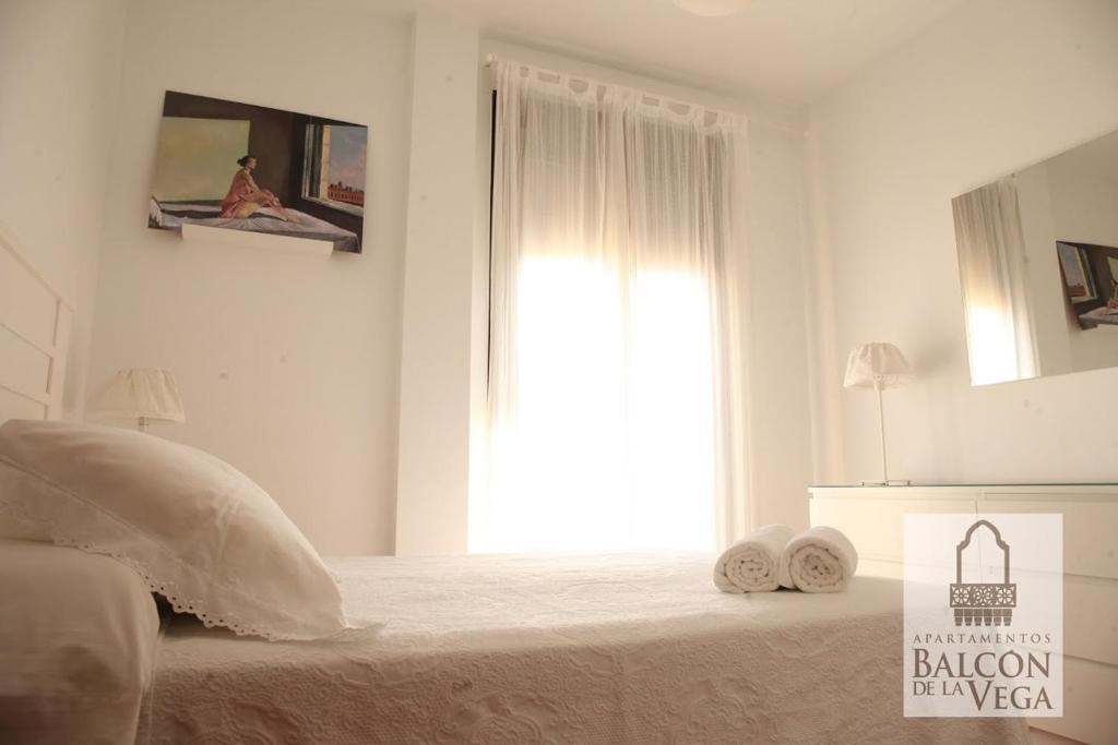 Posteľ alebo postele v izbe v ubytovaní Apartamentos Balcón de la Vega