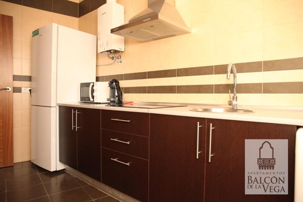 Kuchyňa alebo kuchynka v ubytovaní Apartamentos Balcón de la Vega