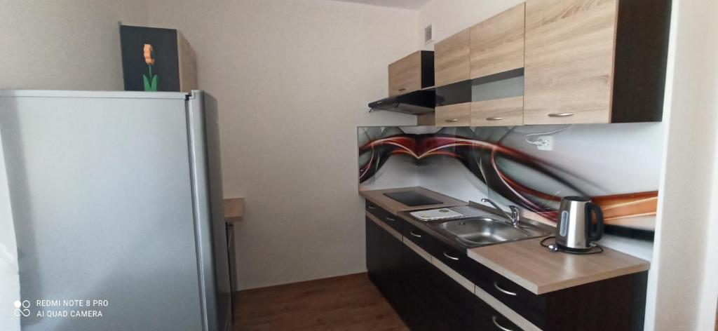 Kuchyňa alebo kuchynka v ubytovaní Apartament 3-go Maja