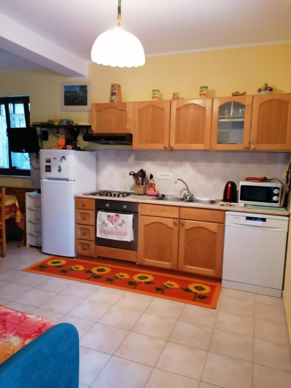Kuchnia lub aneks kuchenny w obiekcie Lovran holiday at the beach with your dog
