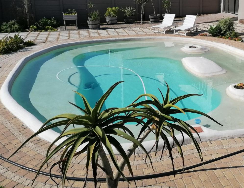 a swimming pool with a palm tree in front of it at Orca View Melkbosstrand in Melkbosstrand