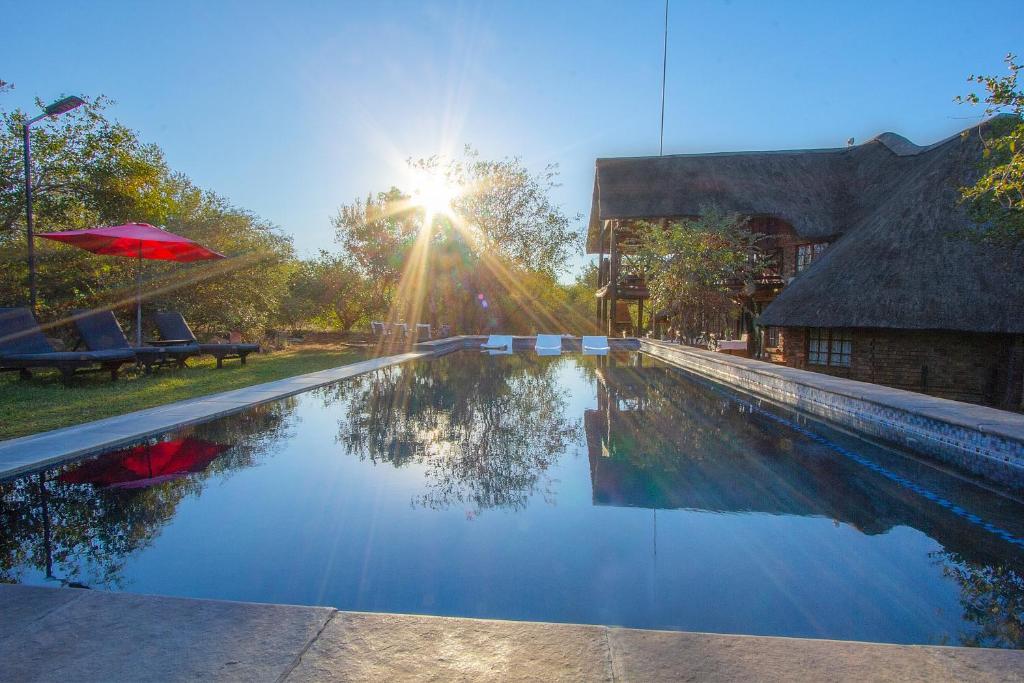 a swimming pool with the sun reflecting in the water at Erdvark in Marloth Park