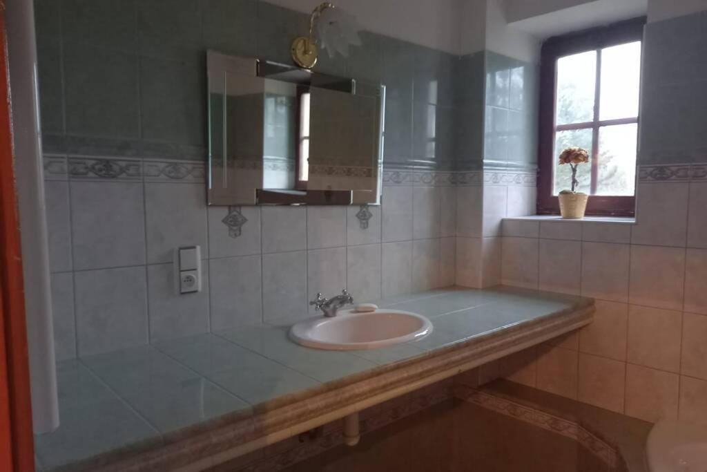 ein Badezimmer mit Waschbecken, Spiegel und Fenster in der Unterkunft Vila pod Ještědem in Liberec