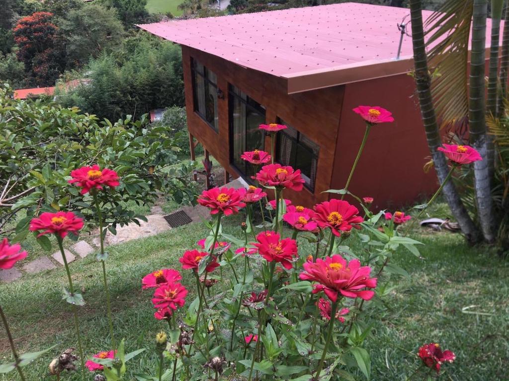 a small house with red flowers in front of it at Navarro mountain in Cartago