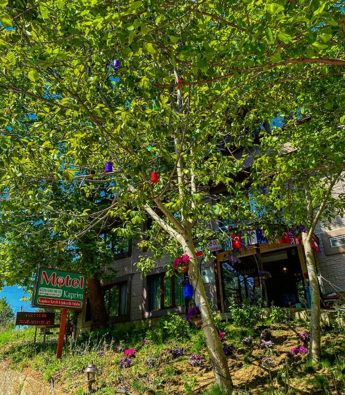 Zahrada ubytování Kapri Termal Hotel & Kaplica Yalova