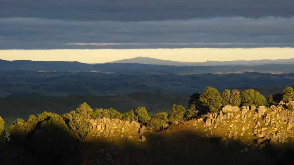 uma vista do topo de uma montanha com árvores em Rock Retreat B&B farmstay em Cavernas de Waitomo