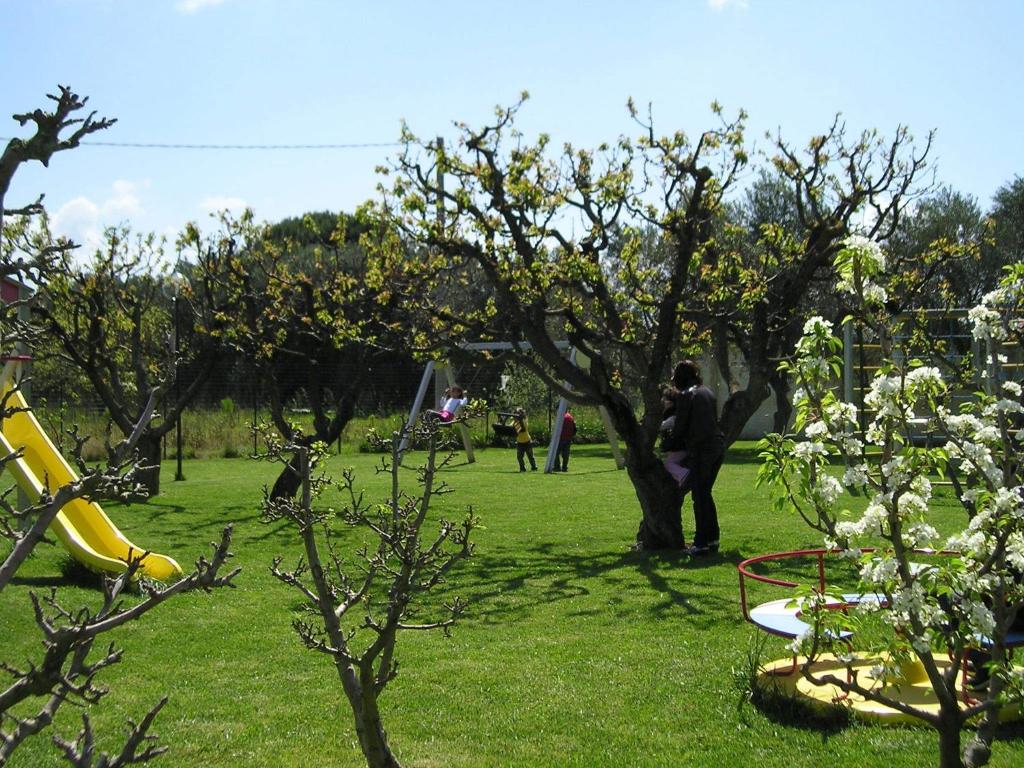 um grupo de pessoas brincando em um parque com árvores em Agriturismo Arangèa em Lequile