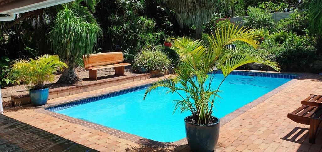 a swimming pool with a bench and a palm tree at Summer Sand Holiday Cottages in Scottburgh