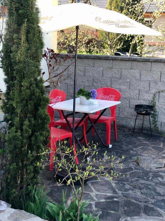 Zahrada ubytování Apartmány Jílovice