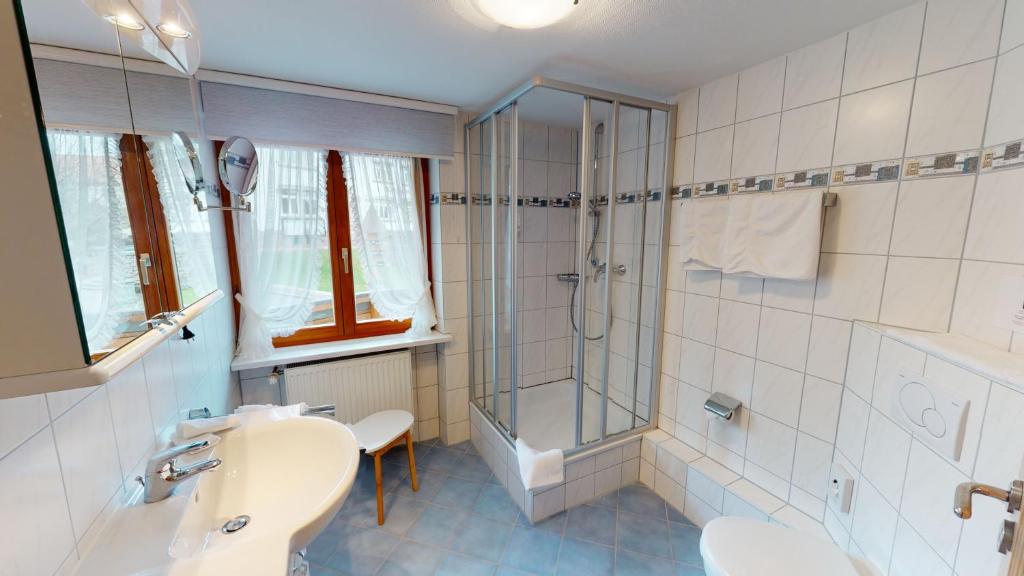 Landhotel und Apartments Sonneck - 12