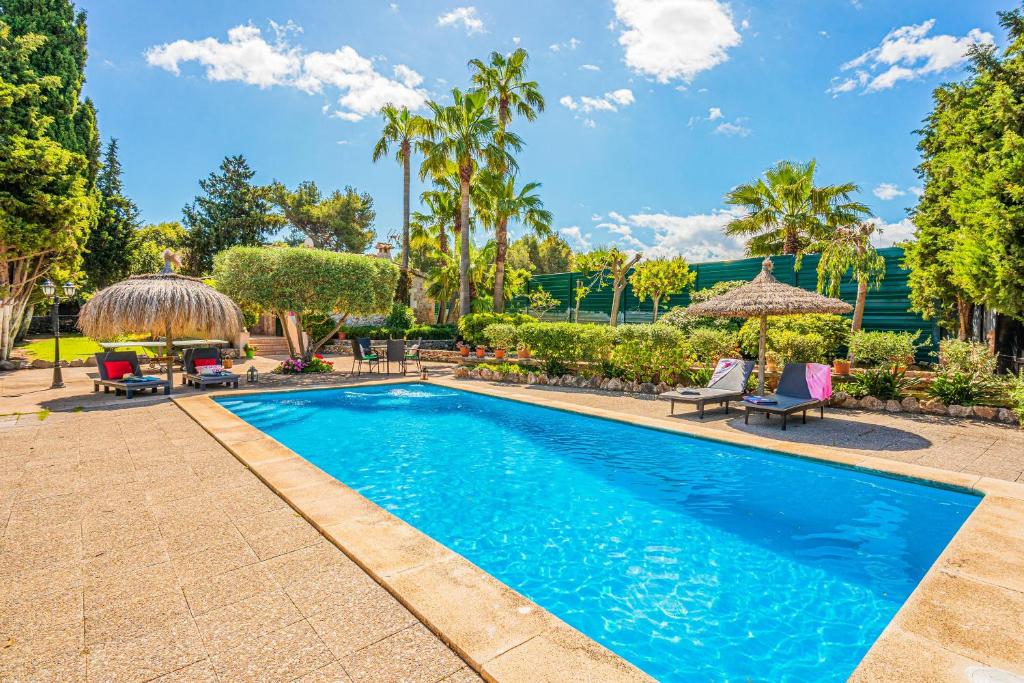a swimming pool in a yard with palm trees at Finca Es Pujolet in Alcudia
