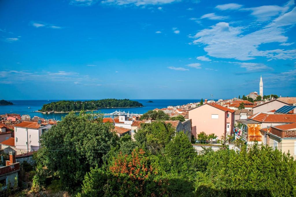 Příroda nedaleko apartmánu